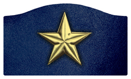 DASHELL-430-GD-BL Star Gold-Blue